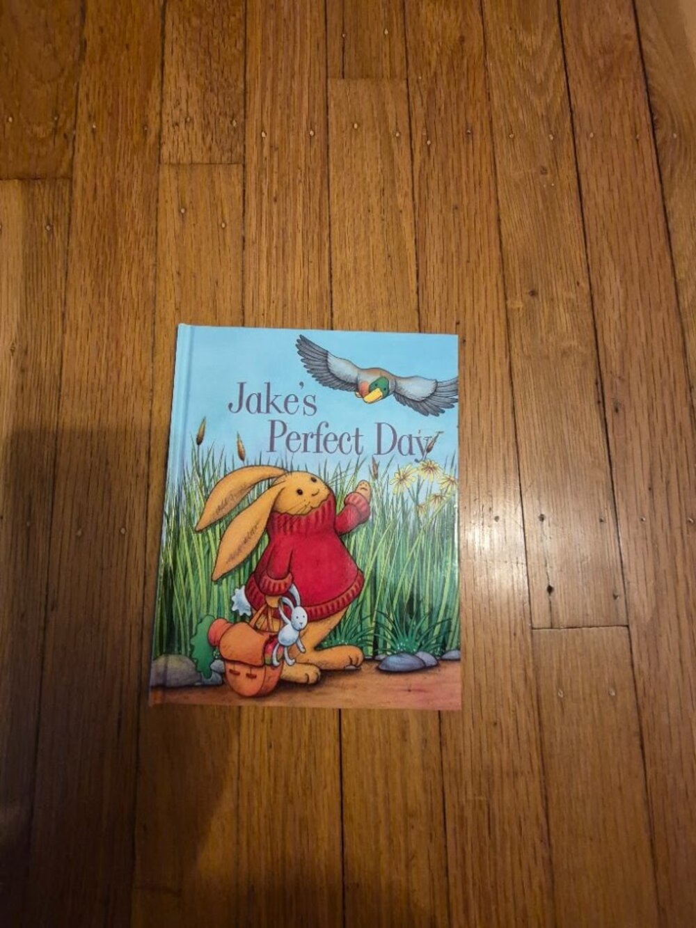 Jake's Perfect Day